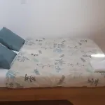 La Paix Apartment Pibrac